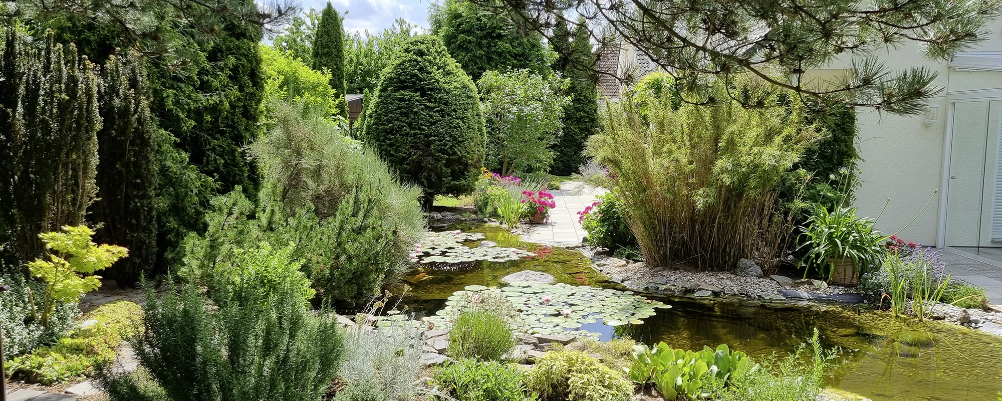 Garten- und Landschaftsbau Projekt in Leipzig